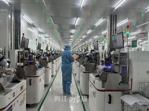 數字見證甜城內江 年產60億只產品，年入4億，營商環境為企業注入澎湃動能